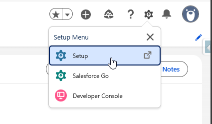 Salesforce Setup